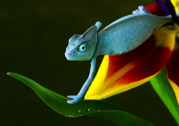 Inefficient publishing process